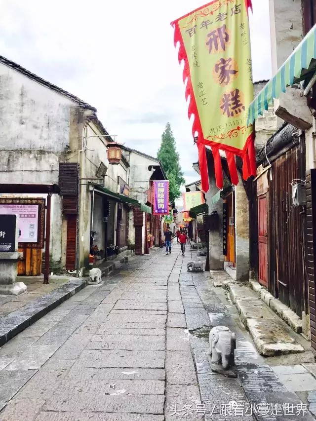 高淳去南京玩,高淳看荷花