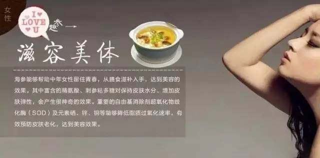 澳洲海参之秃参食补功效及注意事项