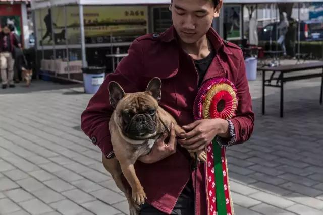 狗生如梦｜ONE实验室