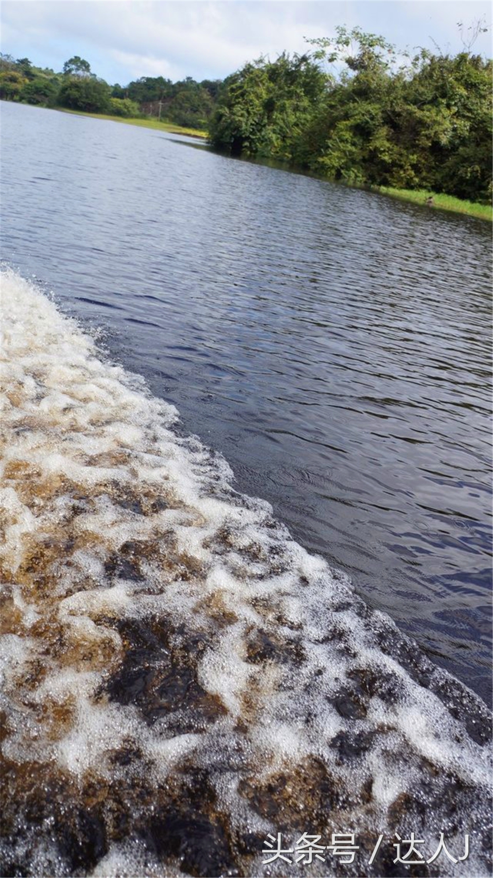 从亚马逊雨林到安纳托,最靠近亚马逊丛林的城市