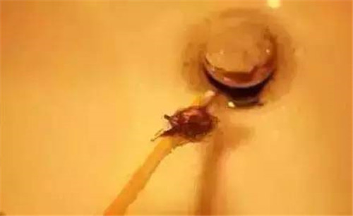 头发堵住下水道,头发堵住下水道疏通小妙招