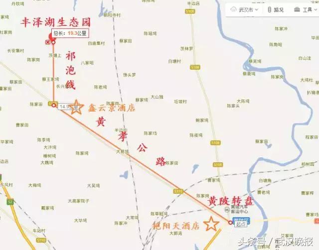 黄陂丰泽湖的夏黑葡萄熟了这里有最全采摘攻略