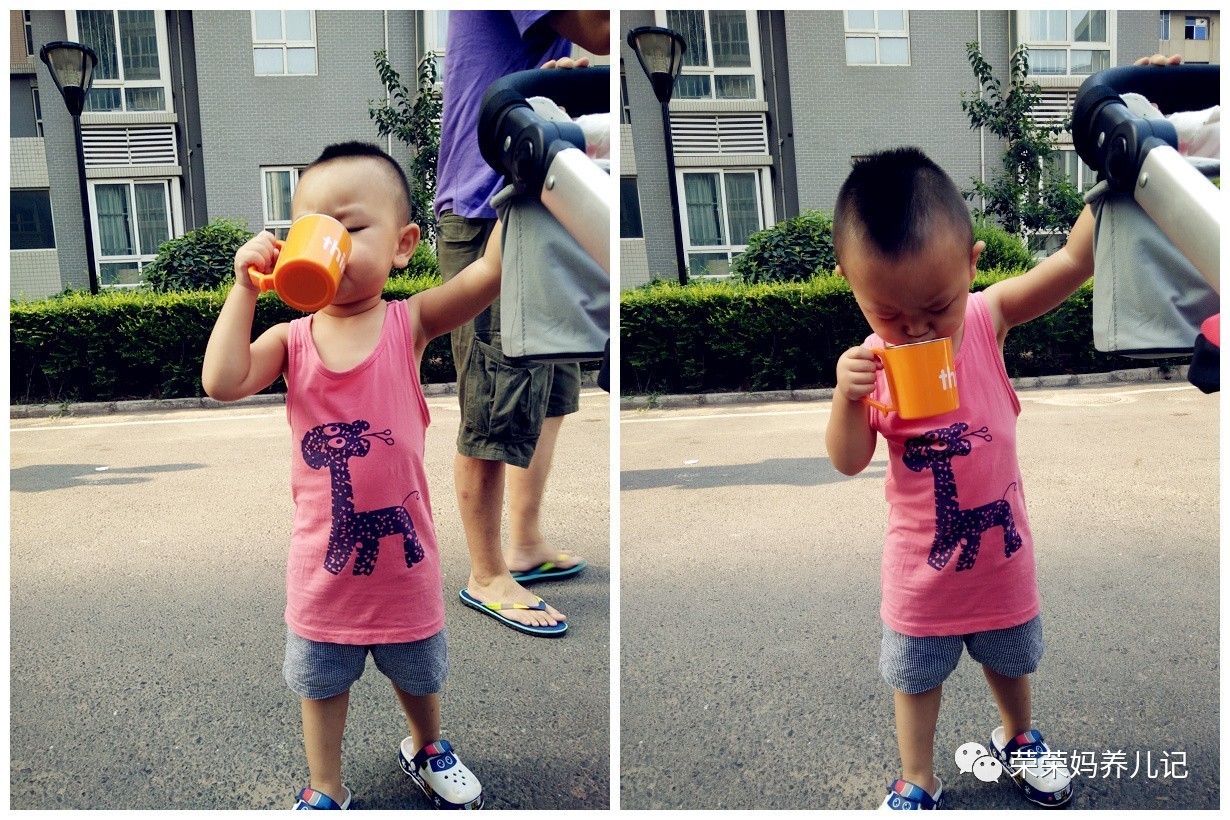 喂一个孩子长大竟然需要用这么多碗?细数各种类型的辅食碗优劣