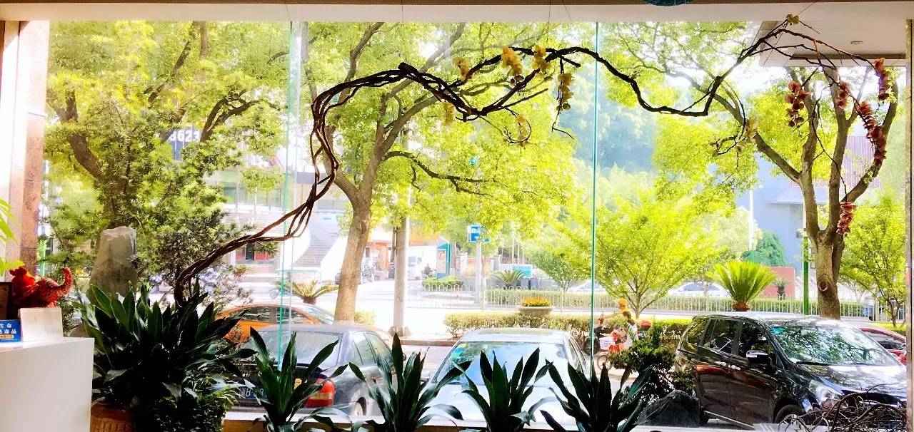 高远品质生活全集,崇高品质生活