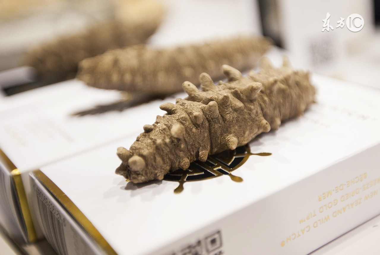 国外的海参没有国内的好,进口海参和国产海参区别