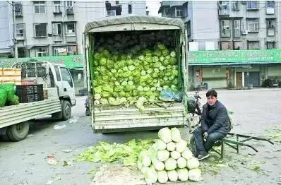 蔬菜批发生意赚不赚钱,蔬菜批发市场卖菜技巧