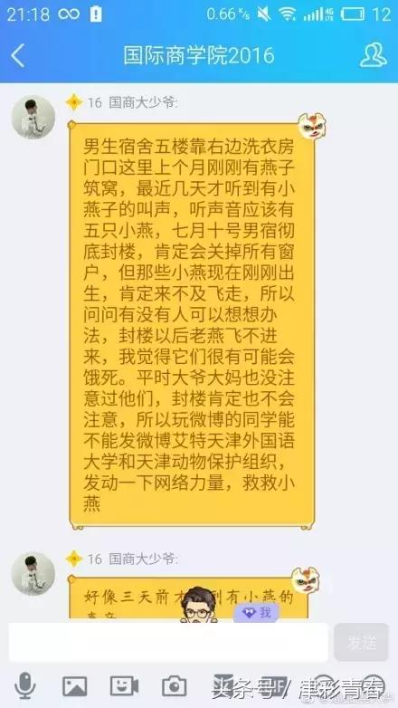 暖哭！天津版小燕子由我们来守护！