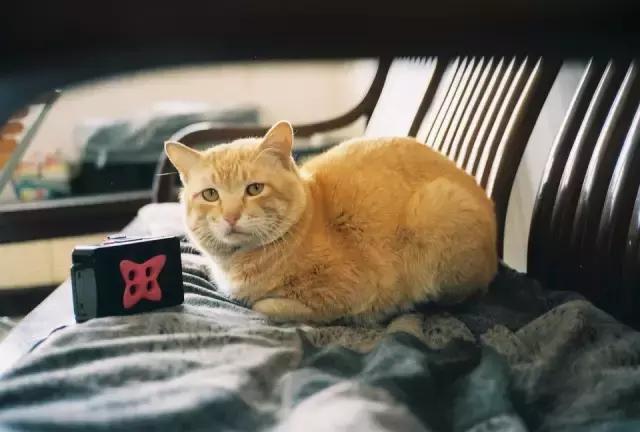 有哪些实用性强的小程序,好用的讲解小程序有哪些