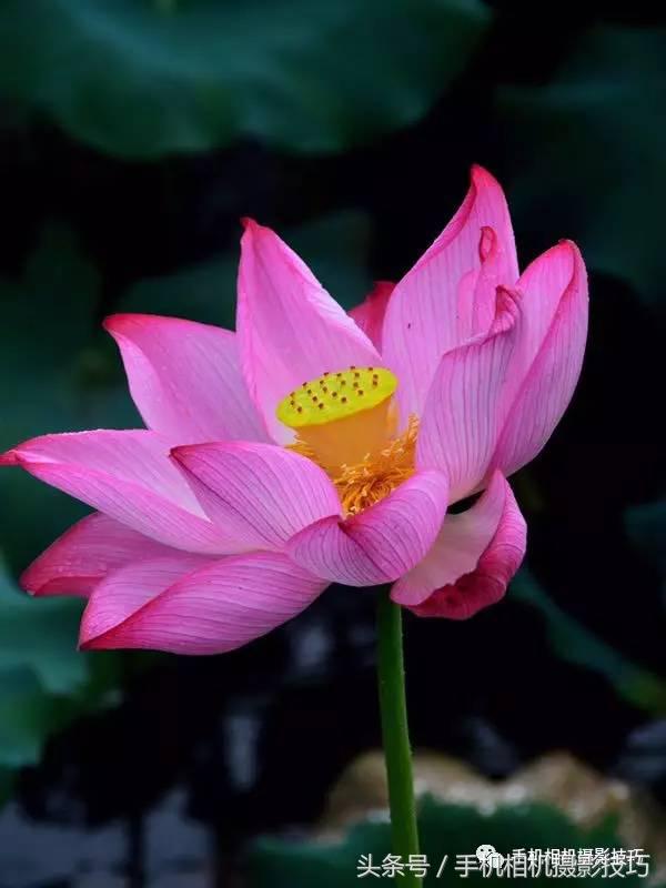 拍好照片的三个标准你值得一看,拍一张好照片容易吗