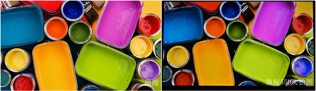 全家人的客厅娱乐神器，微鲸新品55D的表现如何？