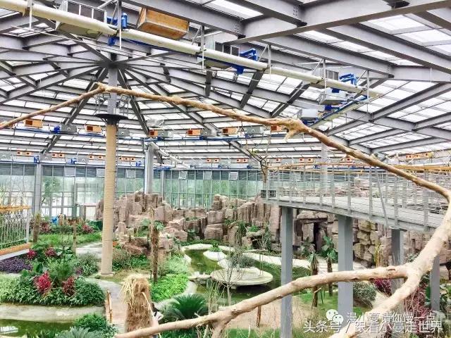 高淳去南京玩,高淳看荷花