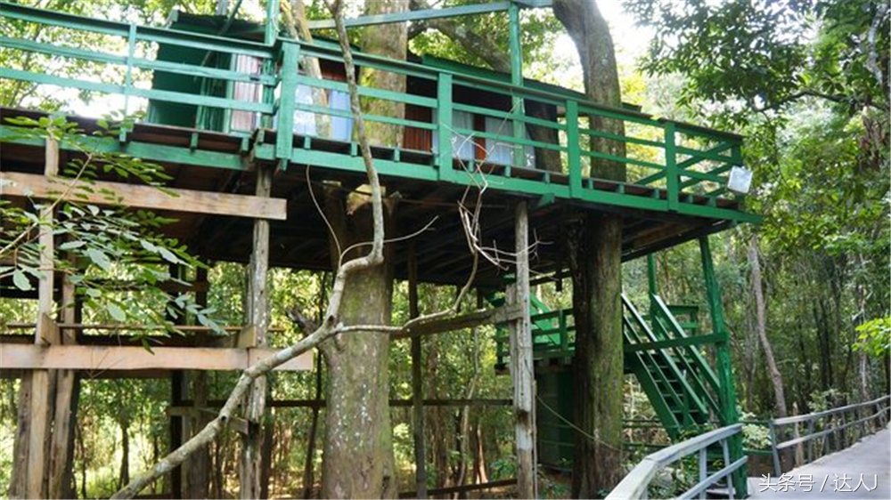 从亚马逊雨林到安纳托,最靠近亚马逊丛林的城市