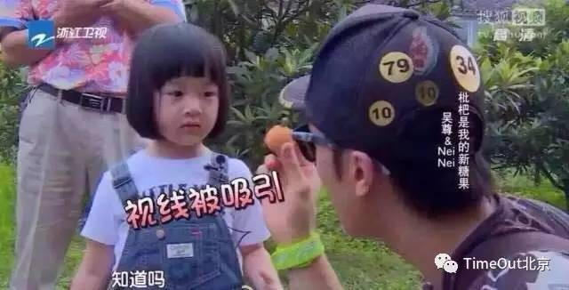 夏日蚊虫大作战,夏天灭蚊大作战全集