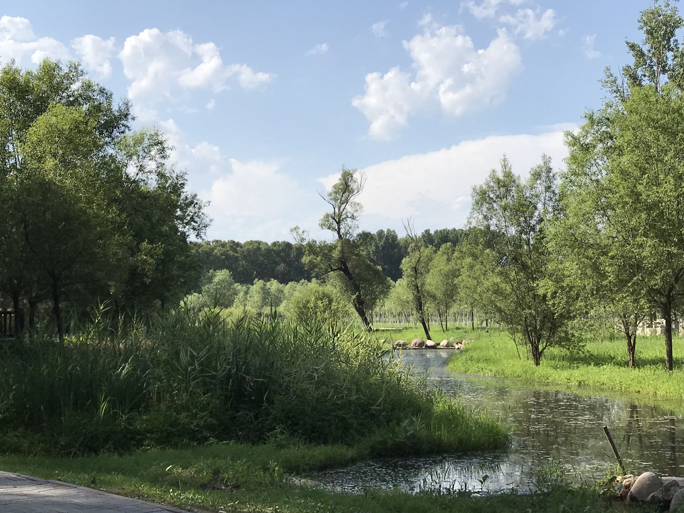 延庆龙湾国际露营公园房车收费,延庆自驾房车营地