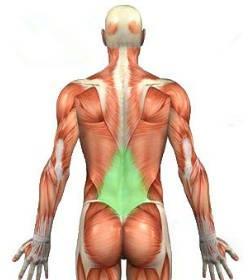 背部训练怎么让背部发力感更好,最有效的一个下背部训练动作