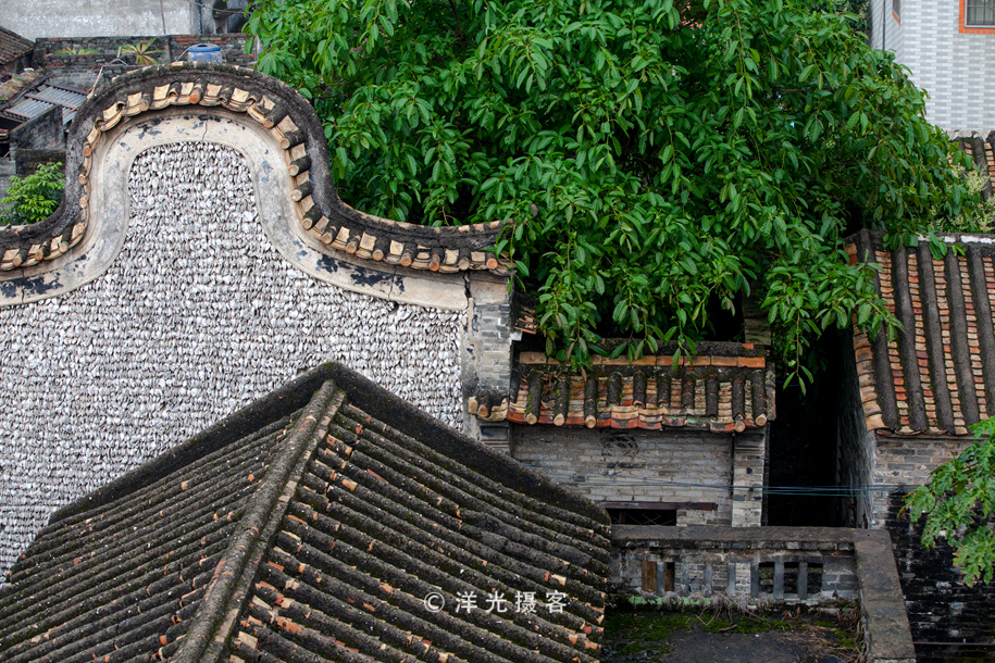 番禺古村落沙湾古镇,体验岭南粤韵之旅沙湾古镇半日游