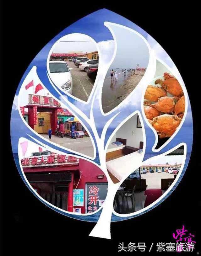 河北农家乐旅游攻略,紫塞白洋淀田水园农家院