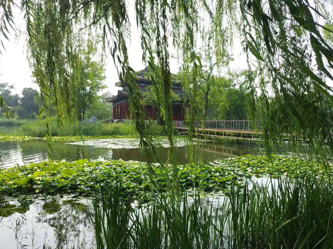 一个被历史毁掉的盛世园林:未被重建,何不夏季去走一走,依旧美不胜收