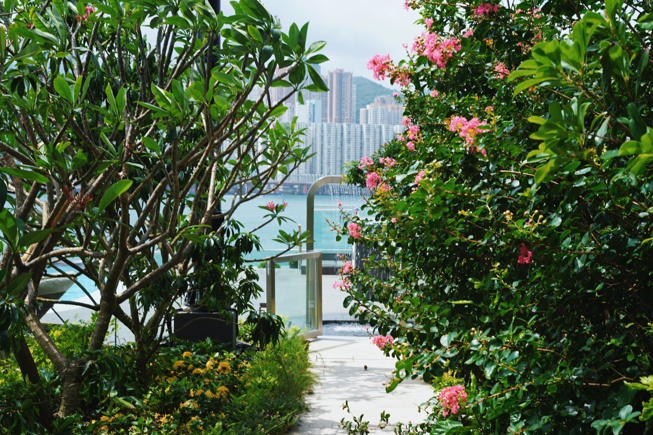 香港九龙洲际酒店,香港皇悦九龙酒店