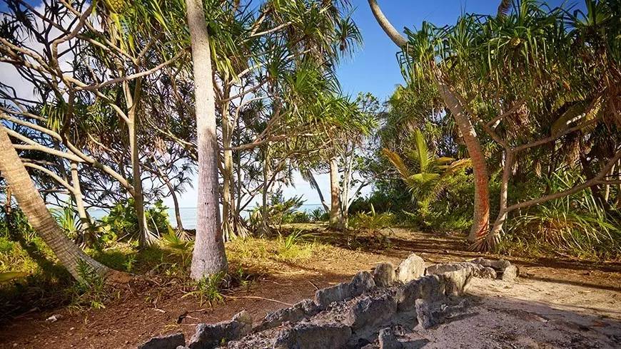 大溪地海岛度假岛,海岛旅游攻略大溪地