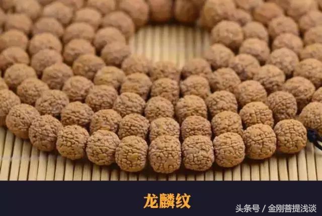 金刚菩提纹路里反碱,六瓣雪花金刚菩提纹路