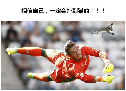 足球比赛上的猫咪,足球比赛上的猫