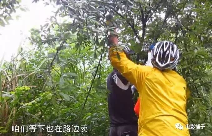 许巍唱朴树的歌,许巍朴树歌曲完整版