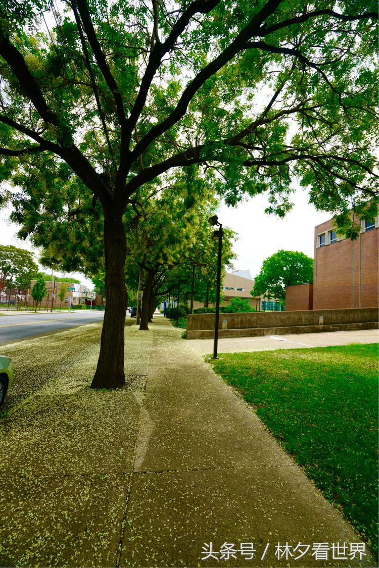 美国天普大学在哪个州,美国费城的大学