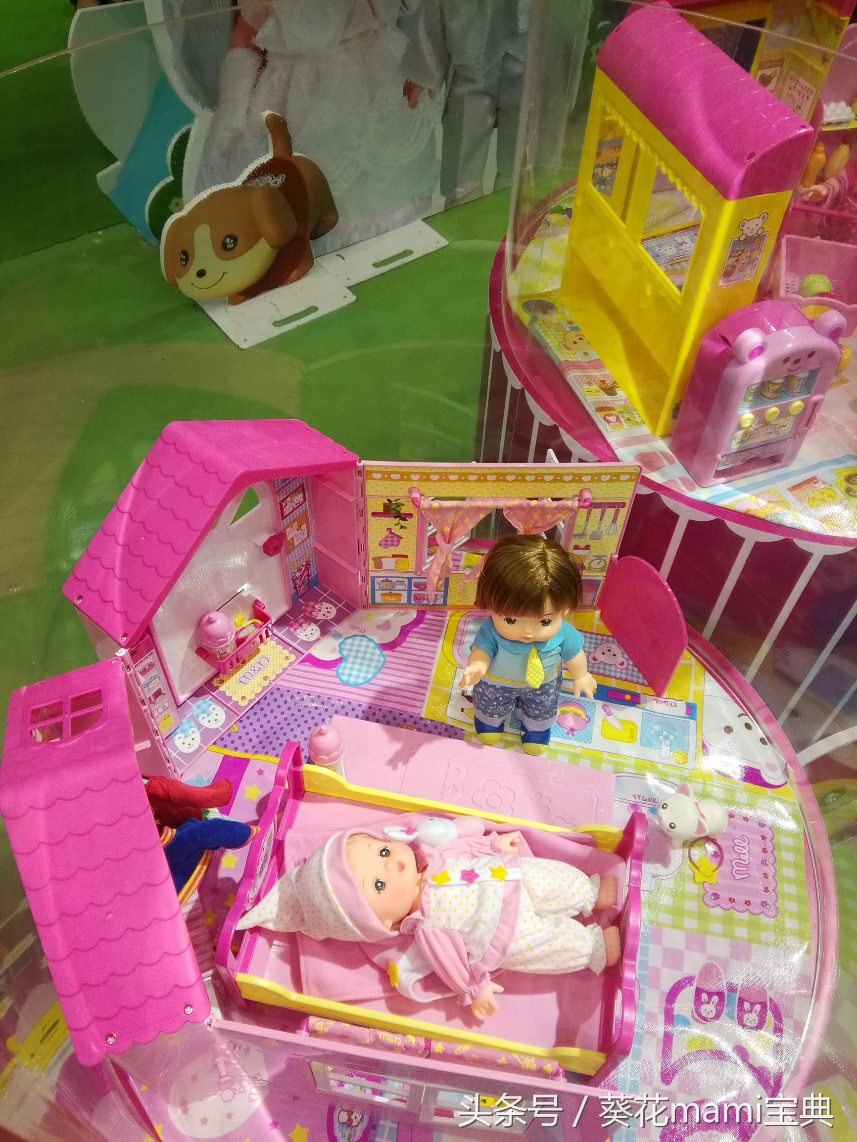 玩博会试玩,玩博会直播