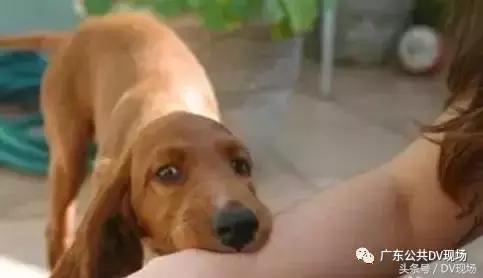 30岁男子突然口水不止暴毙身亡，养宠物的请注意：遇到这种情况立马去医院