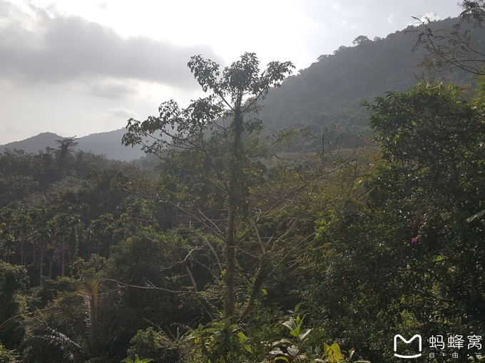 三亚10天行程攻略亲子,一家四口三亚七日游