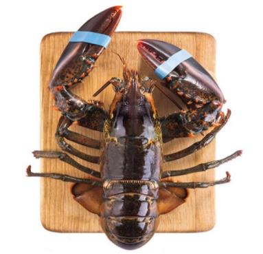 波士顿龙虾名不副实吗,波士顿龙虾真的多么