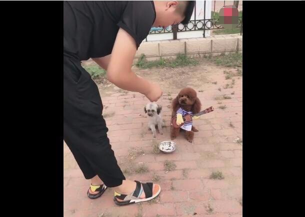 丐帮入门后怎么成功乞讨五次,丐帮帮主教人乞讨