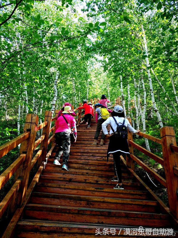 漠河市旅游包车攻略,漠河旅游包车哪里最便宜