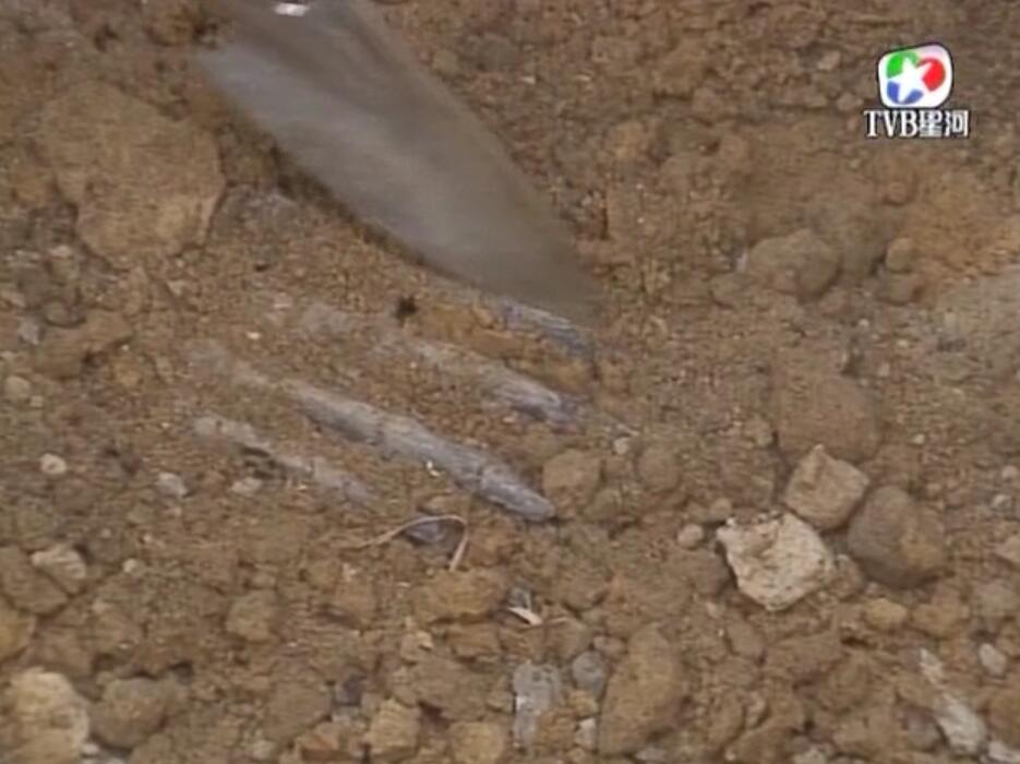 刑事侦缉档案3吕展眉杀爸爸,刑事侦缉档案第四部儿子被冤枉