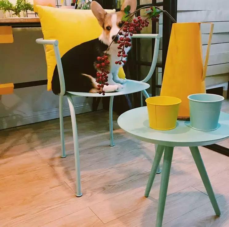 天津姑娘13W逆袭80㎡老房，有颜值又实用，客厅没窗户也能晒太阳！（内附装修干货）