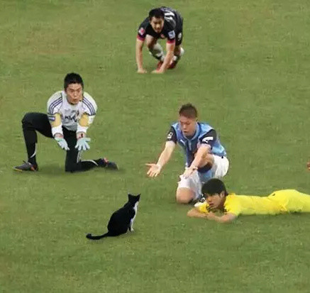 足球恶搞ps,足球的ps搞笑图