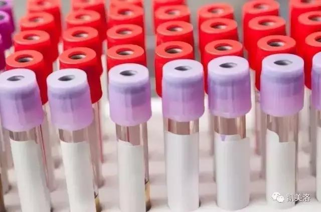 母狗验孕酮时数值多少输精最合适,母狗雌激素怎么测