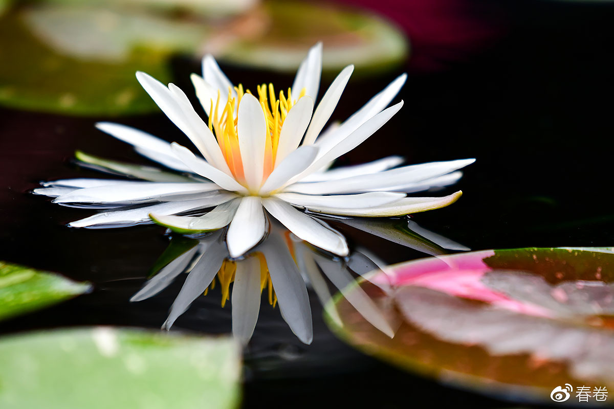 尼康和腾龙合作的镜头,尼康腾龙长变焦镜头比较