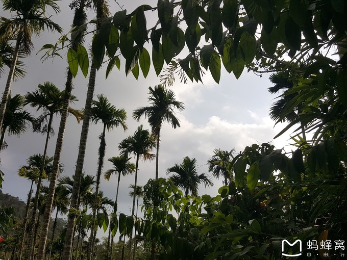 三亚10天行程攻略亲子,一家四口三亚七日游