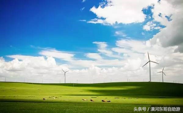 呼伦贝尔漠河旅游攻略夏季,呼伦贝尔漠河环线自由行