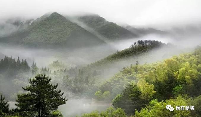 盛夏七月，商城县这几个地方被避暑游客挤爆了……