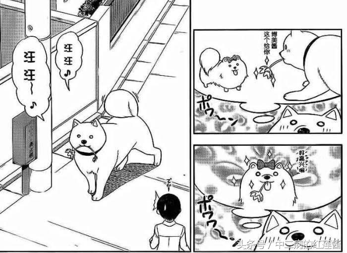 《笨女孩》被一个笨蛋带坏的小镇,唯独这条狗全面过人