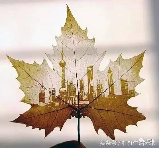 一人一花一世界一树一菩提,一花一世界一叶一菩提一人一颗心