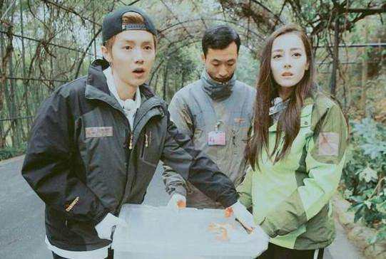 鹿晗和热巴到底是什么关系,鹿晗和热巴的真正关系