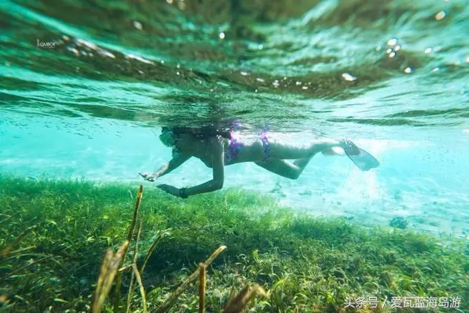 龙目岛和巴厘岛 (龙目岛好还是科莫多岛好)