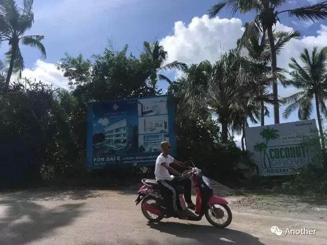 泰国甲米岛自由行攻略,去泰国哪个岛晚上嗨