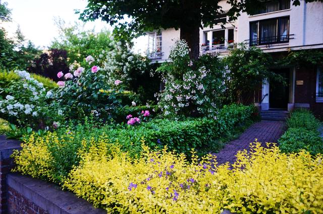 布鲁塞尔旅行日记,布鲁塞尔旅游详细攻略