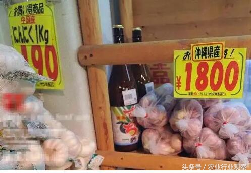 日本农业以什么经营为主,日本劳动力减少的方法