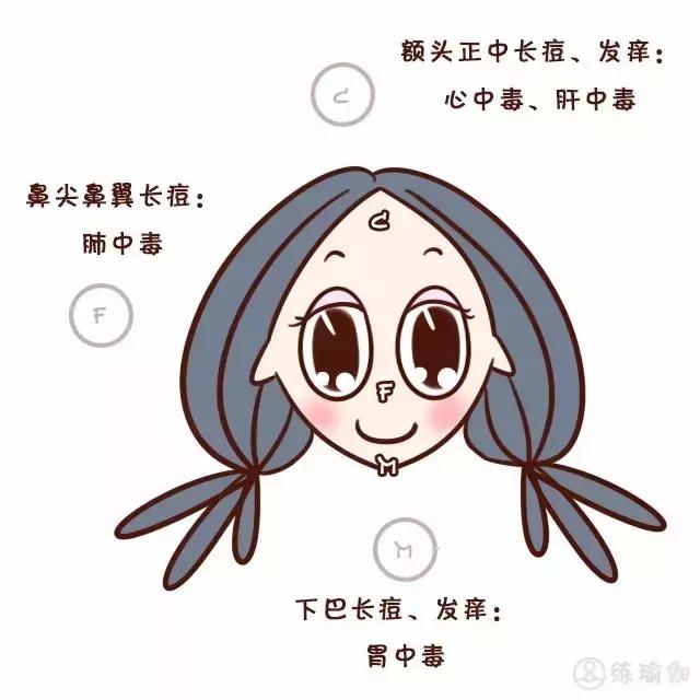 健康之路五脏六腑,健康之路五脏调和百病消